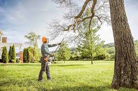 Best Lawn Drainage Solutions  in South St Paul, MN