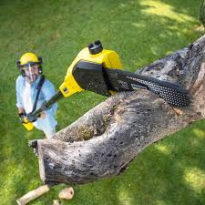 Best Lawn Irrigation Installation and Maintenance  in South St Paul, MN